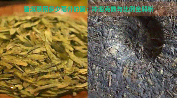 普洱茶用多少毫升的碗：冲泡克数与比例全解析