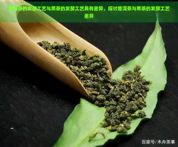 普洱茶的发酵工艺与黑茶的发酵工艺具有差异，探讨普洱茶与黑茶的发酵工艺差异