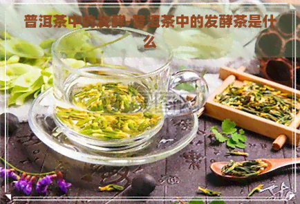 普洱茶中的发酵-普洱茶中的发酵茶是什么