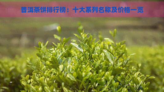 普洱茶饼排行榜：十大系列名称及价格一览