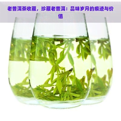 老普洱茶收藏，珍藏老普洱：品味岁月的痕迹与价值