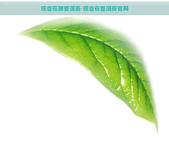 观自在牌普洱茶-观自在普洱茶官网