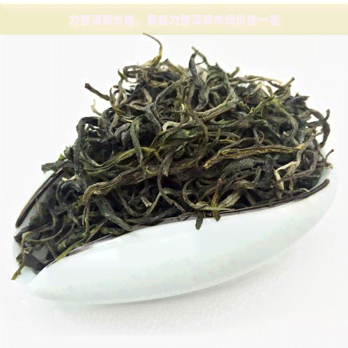 力普洱茶价格，最新力普洱茶市场价格一览