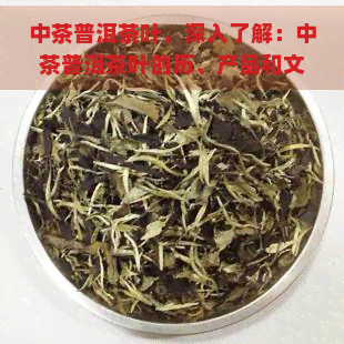 中茶普洱茶叶，深入了解：中茶普洱茶叶的历、产品和文化