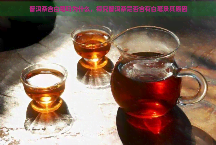 普洱茶含白毫吗为什么，探究普洱茶是否含有白毫及其原因