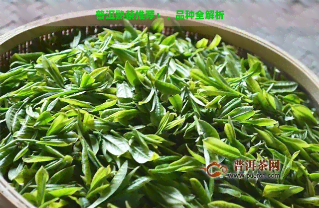 普洱熟茶推荐：、品种全解析