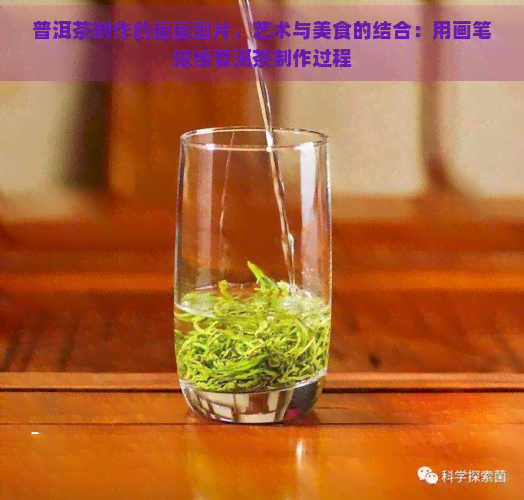 普洱茶制作的画画图片，艺术与美食的结合：用画笔描绘普洱茶制作过程