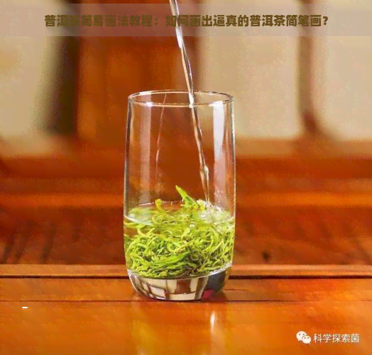 普洱茶简易画法教程：如何画出逼真的普洱茶简笔画？