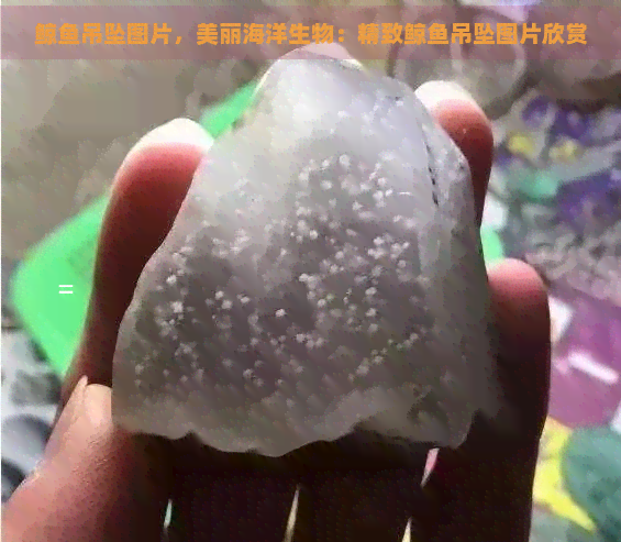 鲸鱼吊坠图片，美丽海洋生物：精致鲸鱼吊坠图片欣赏