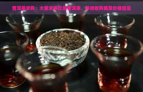 普洱茶求购：大量求购优质普洱茶，寻找收购商及价格信息