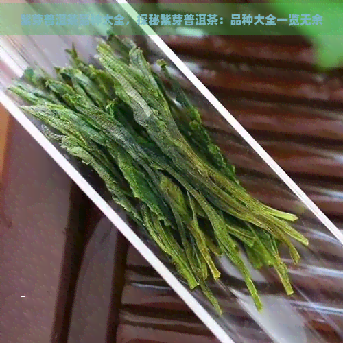 紫芽普洱茶品种大全，探秘紫芽普洱茶：品种大全一览无余