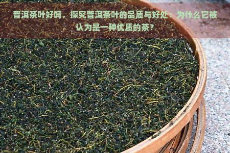 普洱茶叶好吗，探究普洱茶叶的品质与好处：为什么它被认为是一种优质的茶？