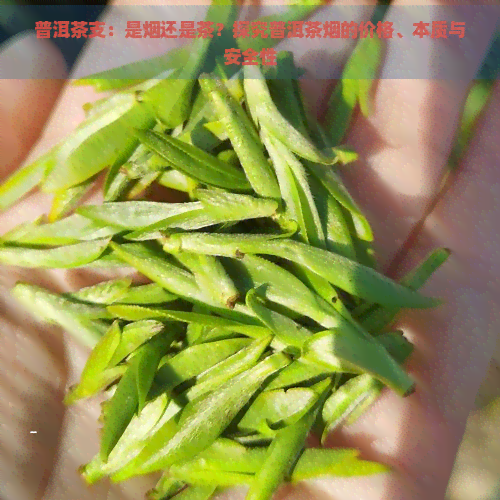 普洱茶支：是烟还是茶？探究普洱茶烟的价格、本质与安全性