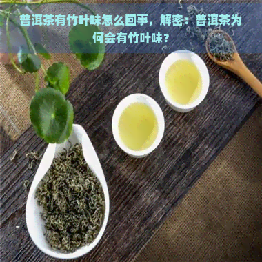 普洱茶有竹叶味怎么回事，解密：普洱茶为何会有竹叶味？