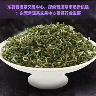 东莞普洱茶交易中心，探索普洱茶市场新机遇：东莞普洱茶交易中心引领行业发展