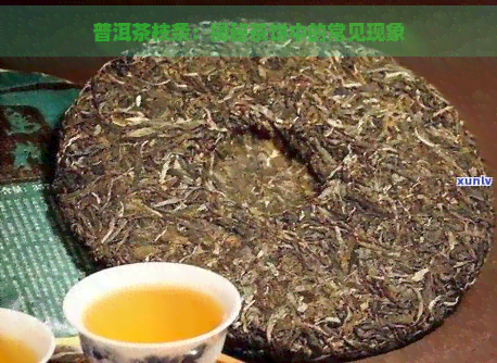 普洱茶枝条：揭秘茶饼中的常见现象