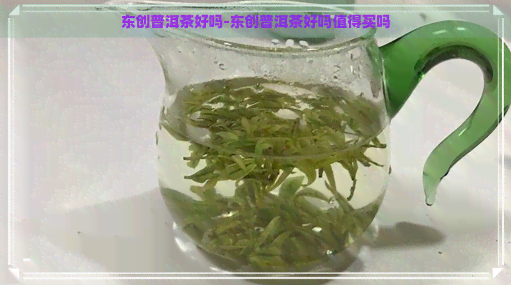 东创普洱茶好吗-东创普洱茶好吗值得买吗