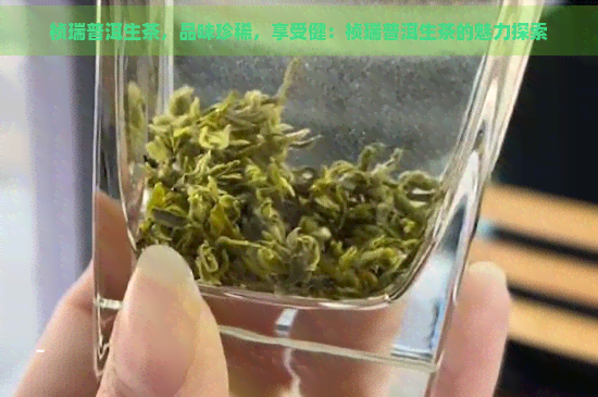 祯瑞普洱生茶，品味珍稀，享受健：祯瑞普洱生茶的魅力探索