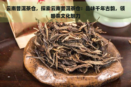 云南普洱茶仓，探索云南普洱茶仓：品味千年古韵，领略茶文化魅力