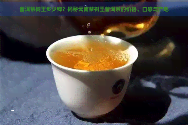 普洱茶树王多少钱？揭秘云南茶树王普洱茶的价格、口感与产地