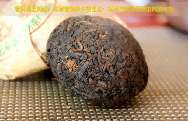 普洱茶王树龄，揭秘普洱茶中的王者：探寻古树普洱茶的树龄之谜