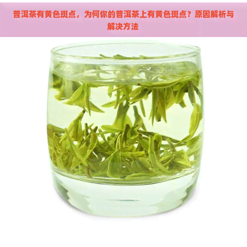 普洱茶有黄色斑点，为何你的普洱茶上有黄色斑点？原因解析与解决方法