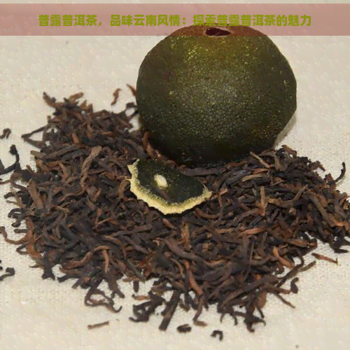 普露普洱茶，品味云南风情：探索普露普洱茶的魅力