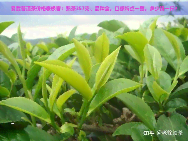 易武普洱茶价格表极客：熟茶357克、品种全，口感特点一览，多少钱一斤？