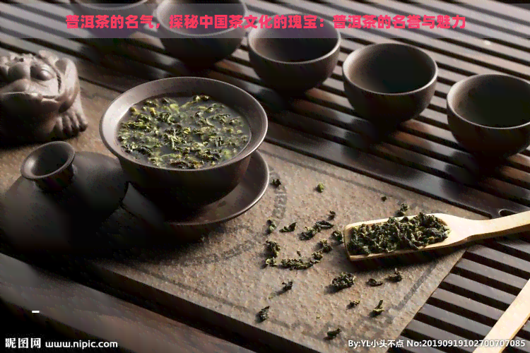 普洱茶的名气，探秘中国茶文化的瑰宝：普洱茶的名誉与魅力