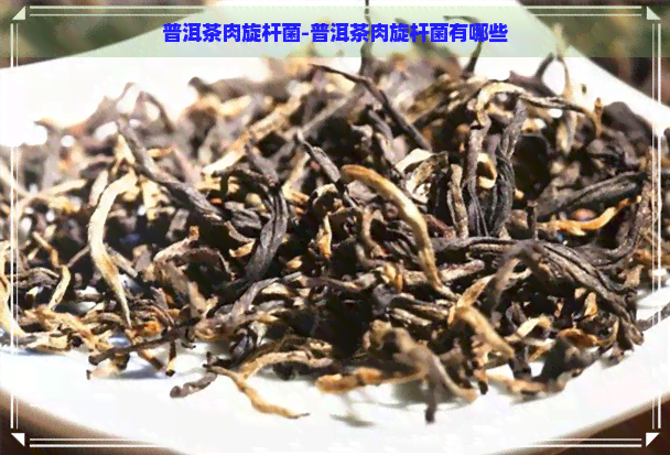 普洱茶肉旋杆菌-普洱茶肉旋杆菌有哪些