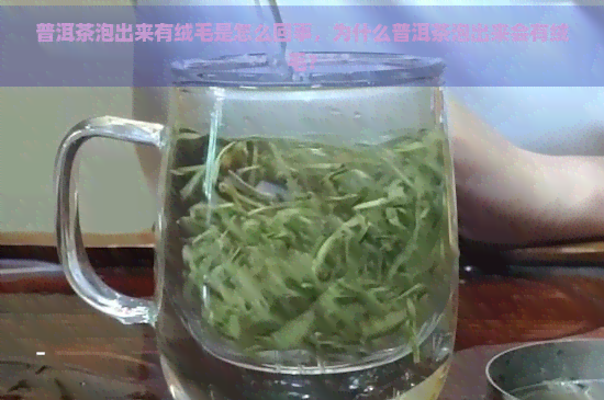 普洱茶泡出来有绒毛是怎么回事，为什么普洱茶泡出来会有绒毛？