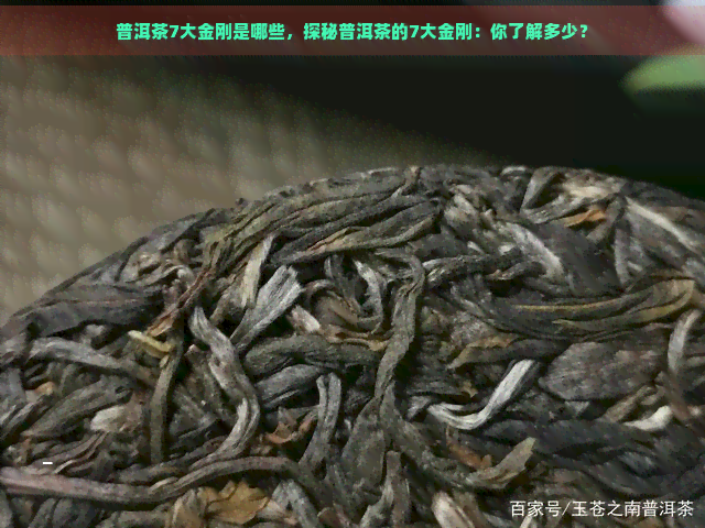 普洱茶7大金刚是哪些，探秘普洱茶的7大金刚：你了解多少？