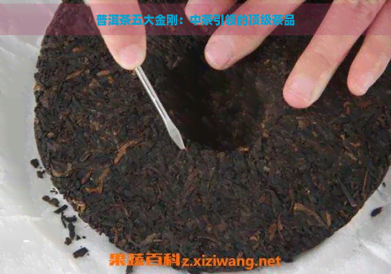 普洱茶五大金刚：中茶引领的顶级茶品