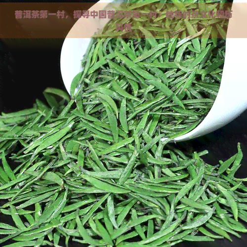 普洱茶之一村，探寻中国普洱茶之一村：独特的茶文化和历风情