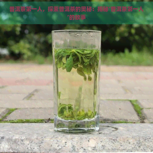 普洱茶之一人，探索普洱茶的奥秘：揭秘‘普洱茶之一人’的故事