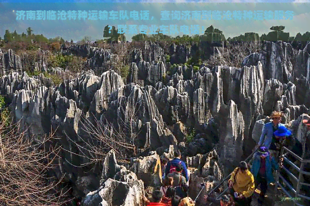 济南到临沧特种运输车队电话，查询济南到临沧特种运输服务？联系专业车队电话！