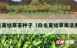 怎样跑熟普洱茶，如何正确冲泡普洱茶：跑熟普洱茶的技巧与方法