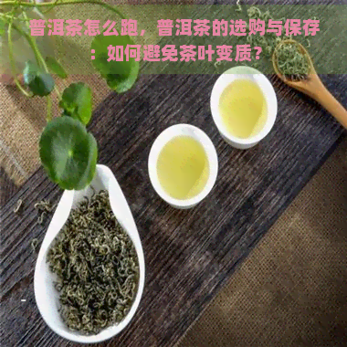 普洱茶怎么跑，普洱茶的选购与保存：如何避免茶叶变质？