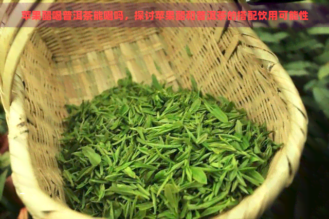 苹果醋喝普洱茶能喝吗，探讨苹果醋和普洱茶的搭配饮用可能性