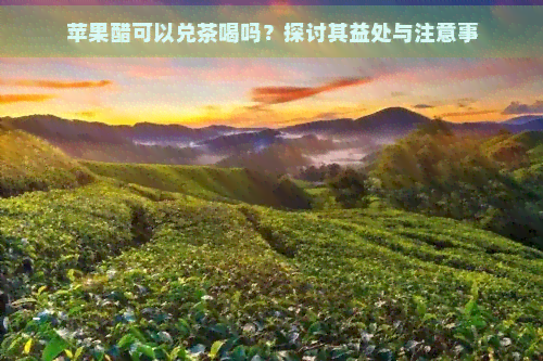 苹果醋可以兑茶喝吗？探讨其益处与注意事