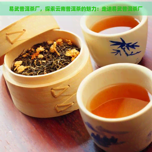 易武普洱茶厂，探索云南普洱茶的魅力：走进易武普洱茶厂