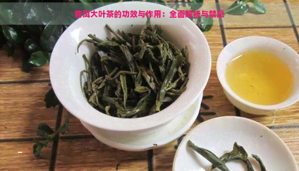 普洱大叶茶的功效与作用：全面解析与禁忌