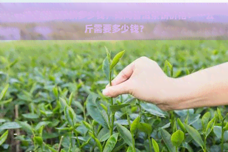 一千克普洱茶饼多少钱，询问普洱茶饼价格：一公斤需要多少钱？