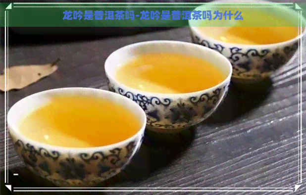 龙吟是普洱茶吗-龙吟是普洱茶吗为什么