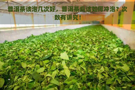 普洱茶该泡几次好，普洱茶应该如何冲泡？次数有讲究！