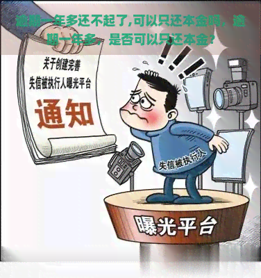 逾期一年多还不起了,可以只还本金吗，逾期一年多，是否可以只还本金？