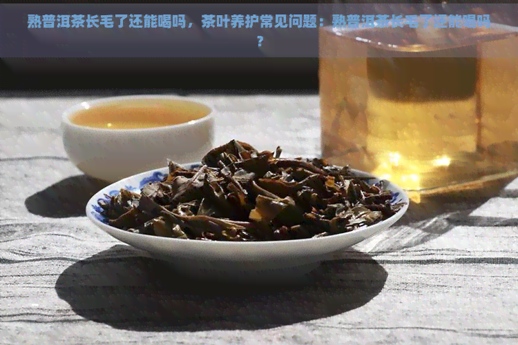 熟普洱茶长毛了还能喝吗，茶叶养护常见问题：熟普洱茶长毛了还能喝吗？