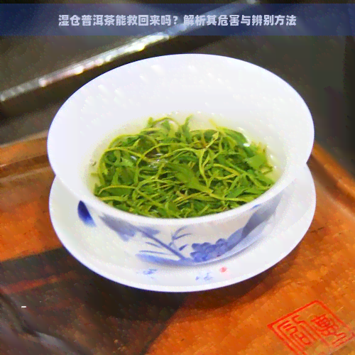 湿仓普洱茶能救回来吗？解析其危害与辨别方法