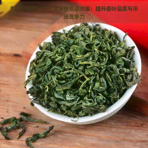 普洱茶方案，制定高效普洱茶方案：提升茶叶品质与市场竞争力