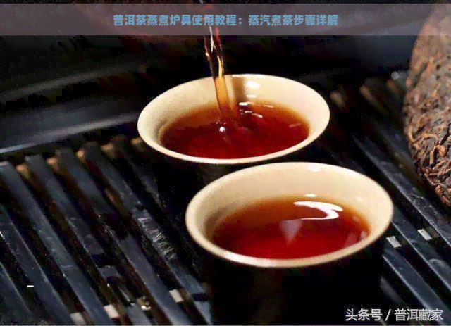 普洱茶蒸煮炉具使用教程：蒸汽煮茶步骤详解